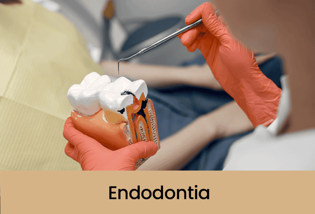 Endodontia